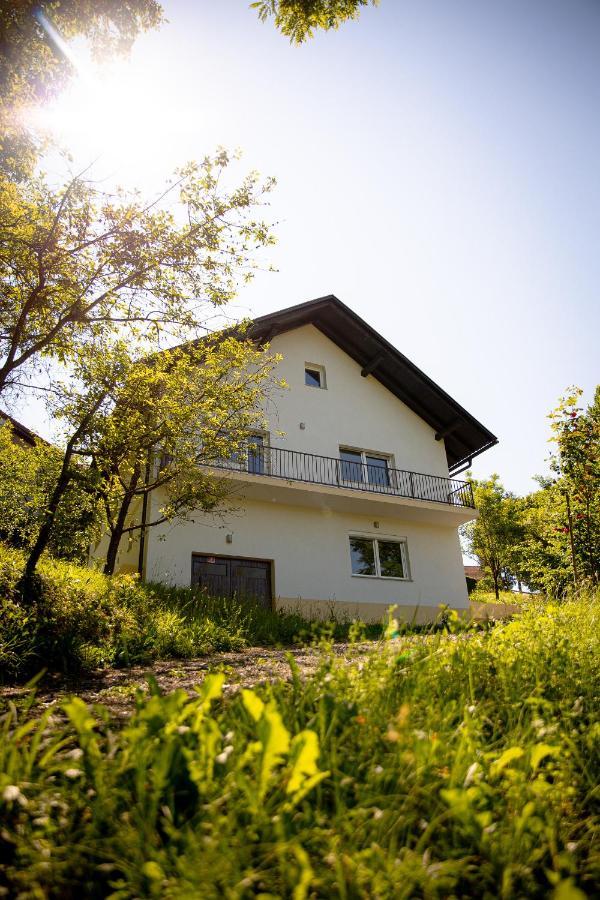 Elegant House In A Beautiful Village Cerklje ob Krki Esterno foto