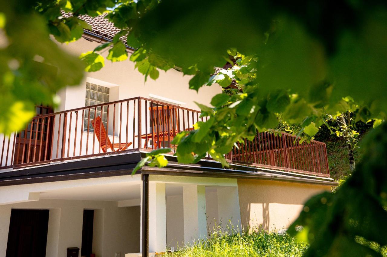 Elegant House In A Beautiful Village Cerklje ob Krki Esterno foto